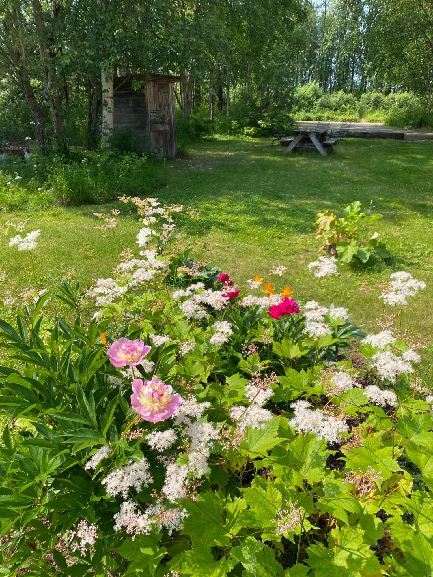 Trapper John'S Cabin & Cottages Talkeetna Esterno foto