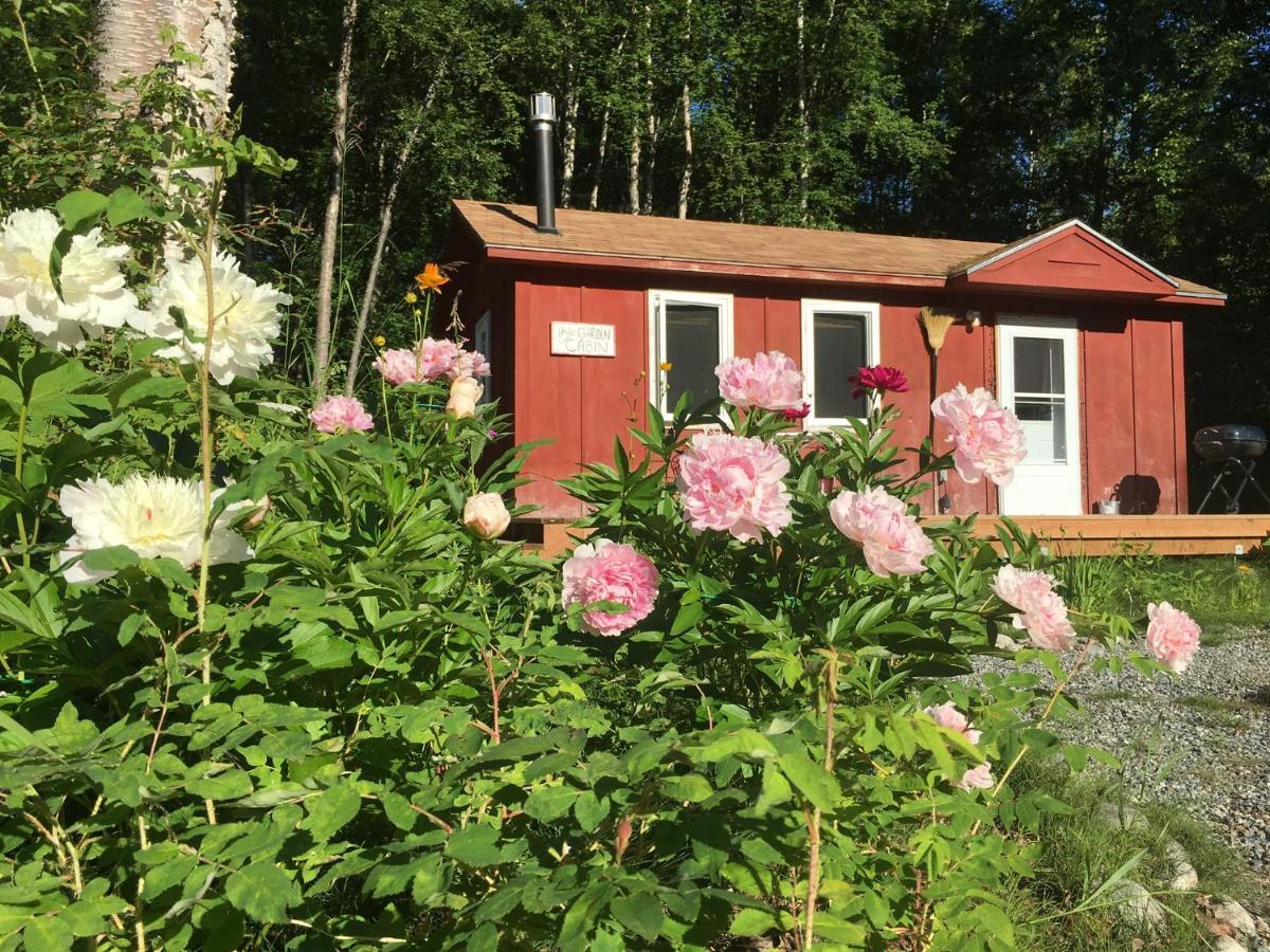 Trapper John'S Cabin & Cottages Talkeetna Esterno foto
